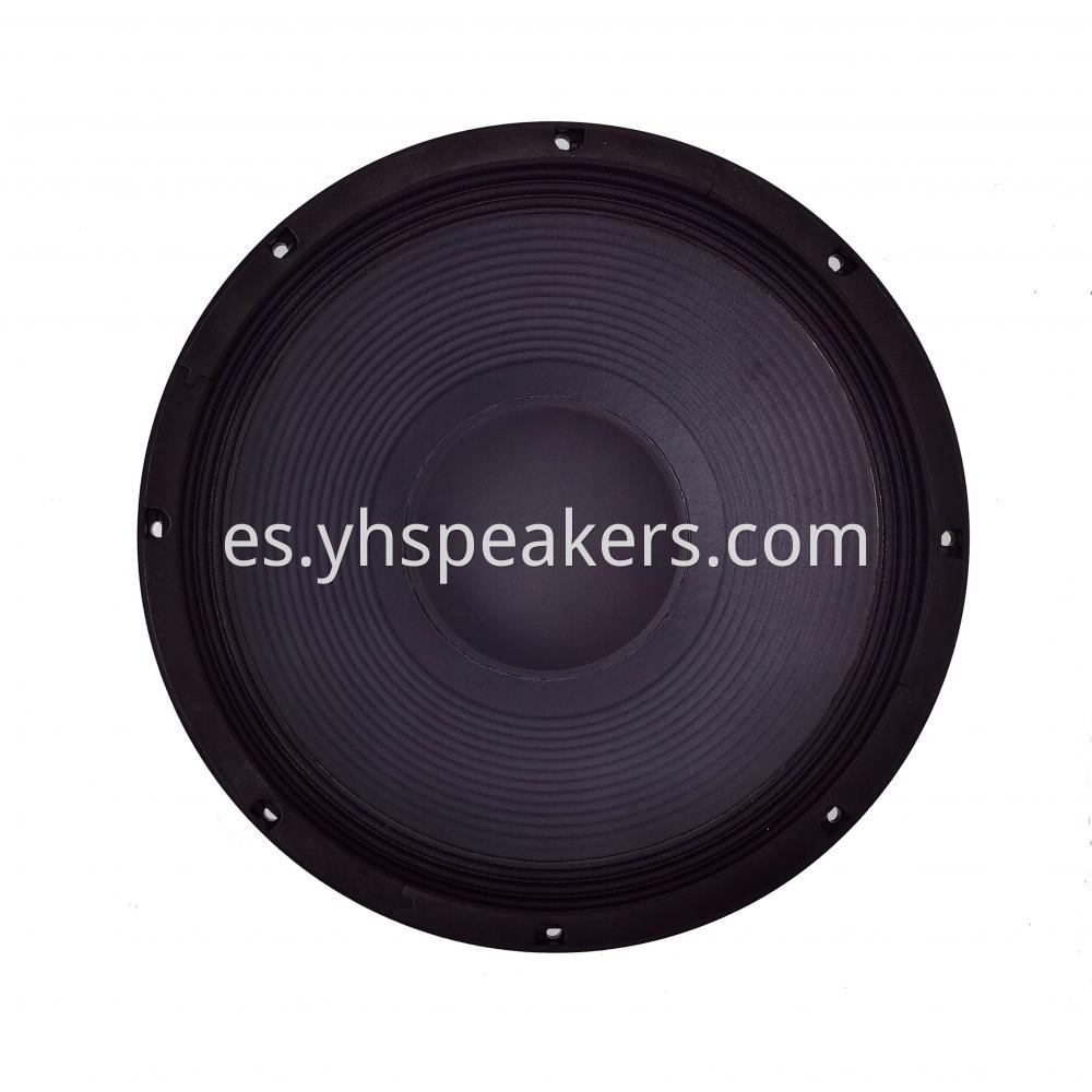 Powerful 15 Inch Low Frequency Transducer